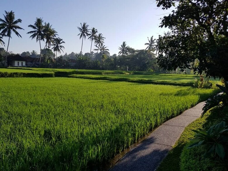 Bed & Breakfast Puri Raya Villa Ubud