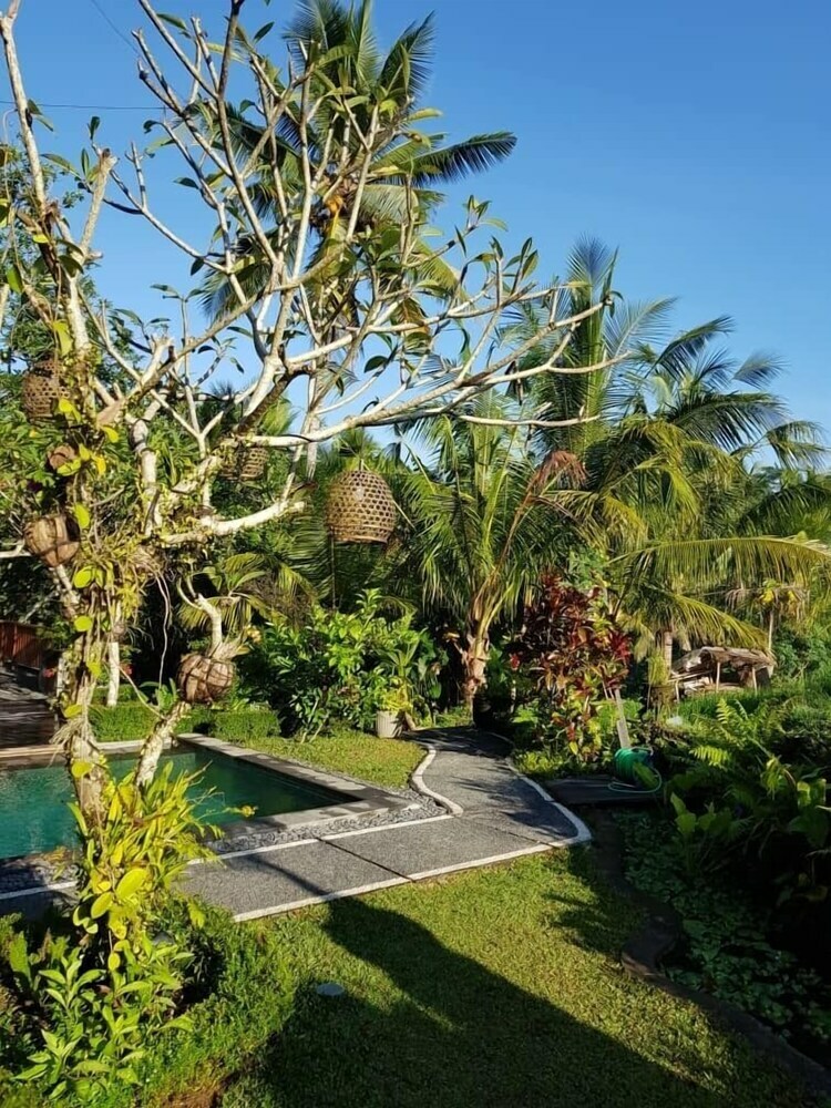 Bed & Breakfast Puri Raya Villa Ubud