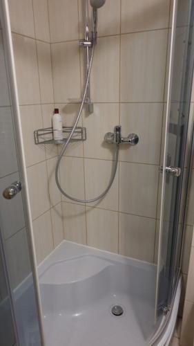 Hostal Pokoje Go?cinne Le?ny Zak?tek