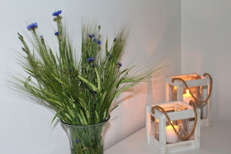 Hotel Lugna G�rden- Spa & Konferens
