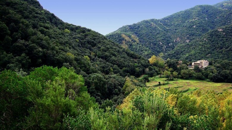 Agroturismo Mas Els Terrats