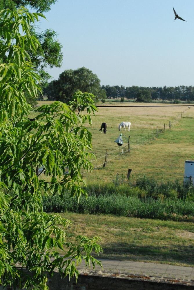 Ferienwohnung Auf Pferdehof Bei Neustadt