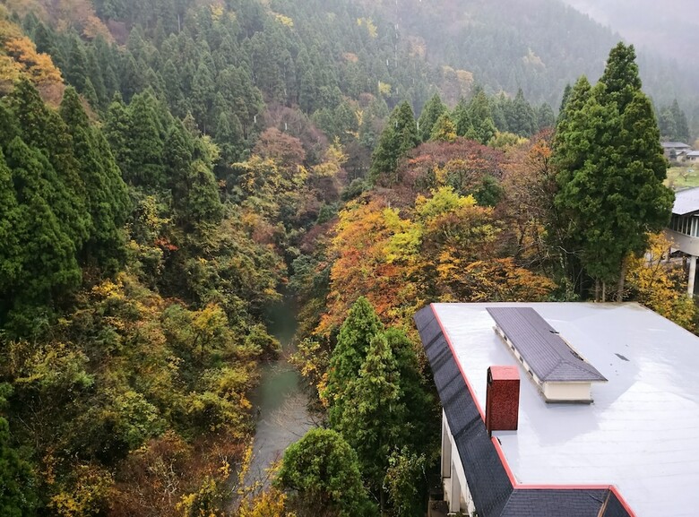 Yamanaka Spa Hanatsubaki