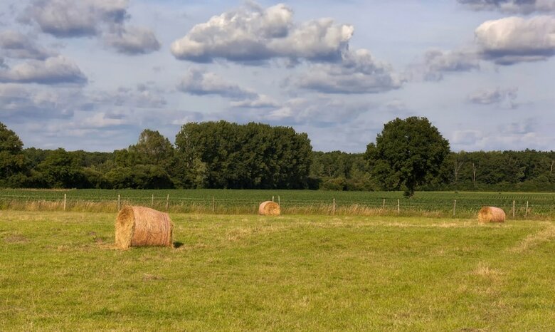 Bed & Breakfast Les Nuits Safran�es