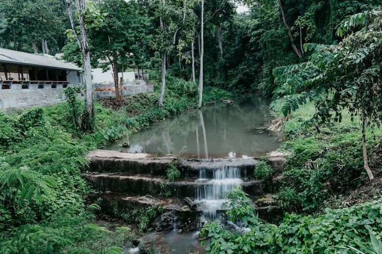 Hotel Luxury Camp@green Jungle Park