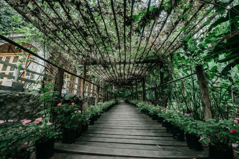 Hotel Luxury Camp@green Jungle Park