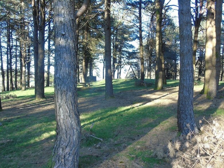 Apartamentos Buenavista Tineo