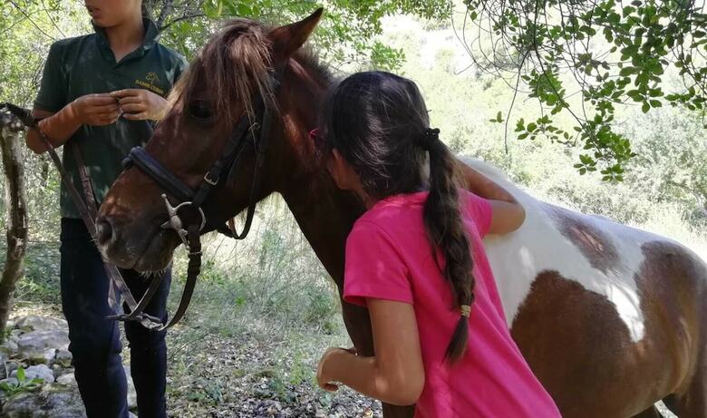 Bed & Breakfast Badde Cubas