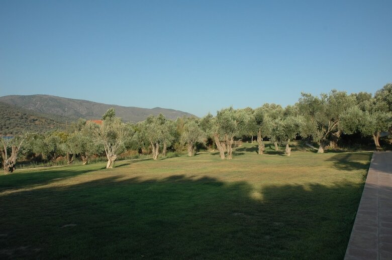 Hotel Gera's Olive Grove