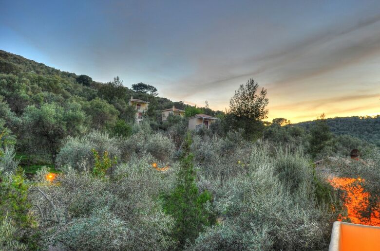 Hotel Gera's Olive Grove