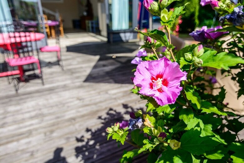 Bed & Breakfast Ch�teau de La Villeneuve