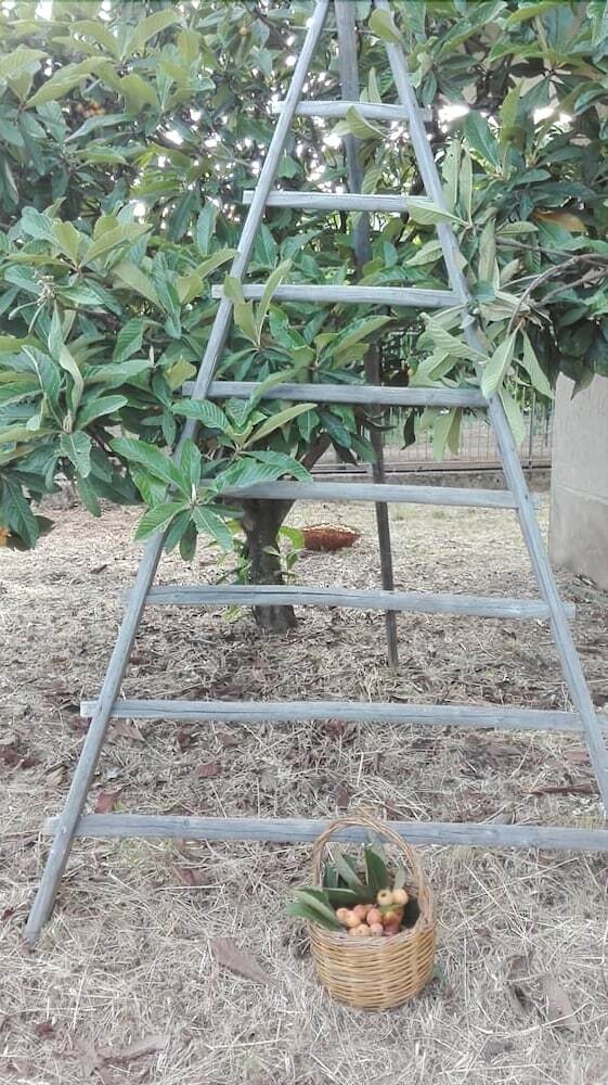 Agroturismo Agriturismo Ai Monaci