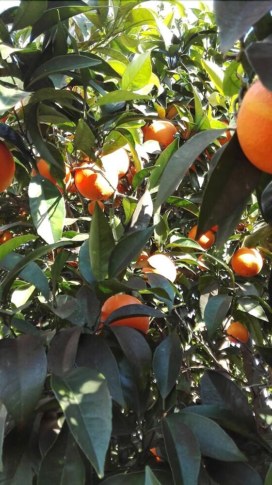 Agroturismo Agriturismo Ai Monaci