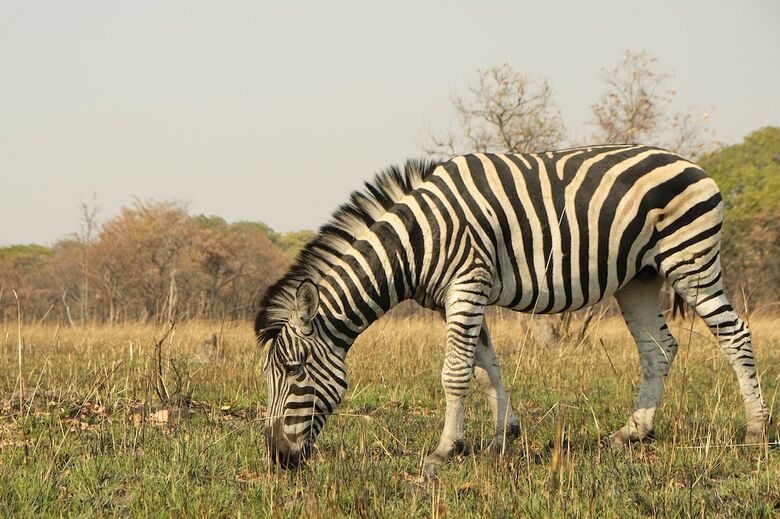 Posada Kuti Wildlife Reserve