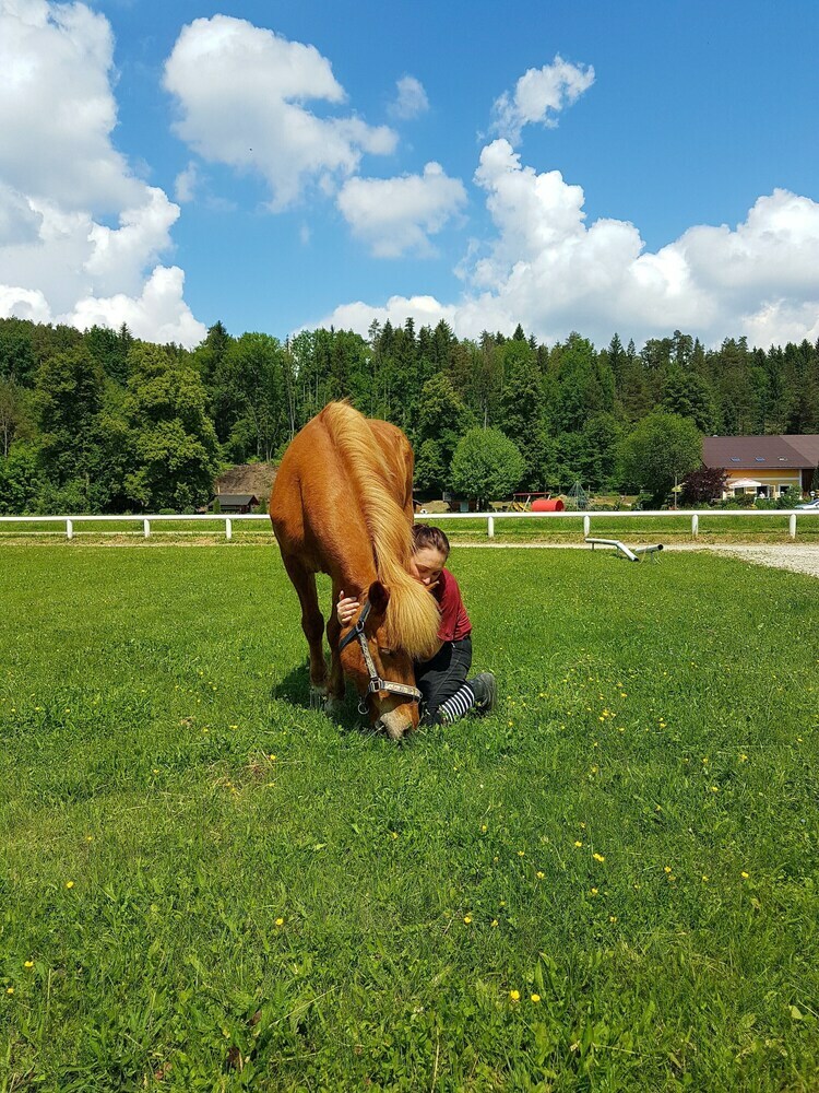 Agroturismo Islandpferdehof Rapoldi