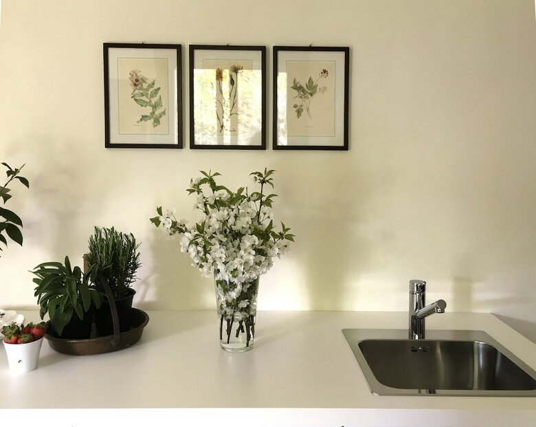 Apartamento House & Garden