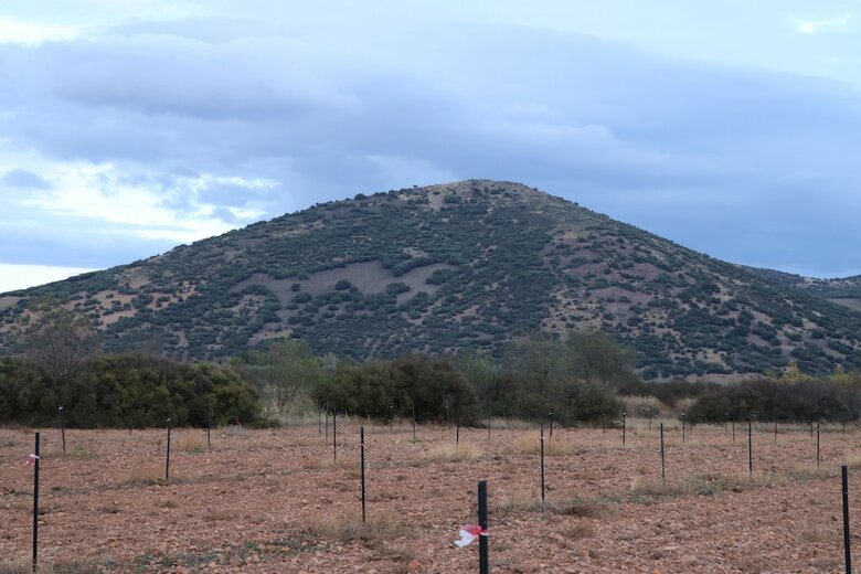 Agroturismo La Finka