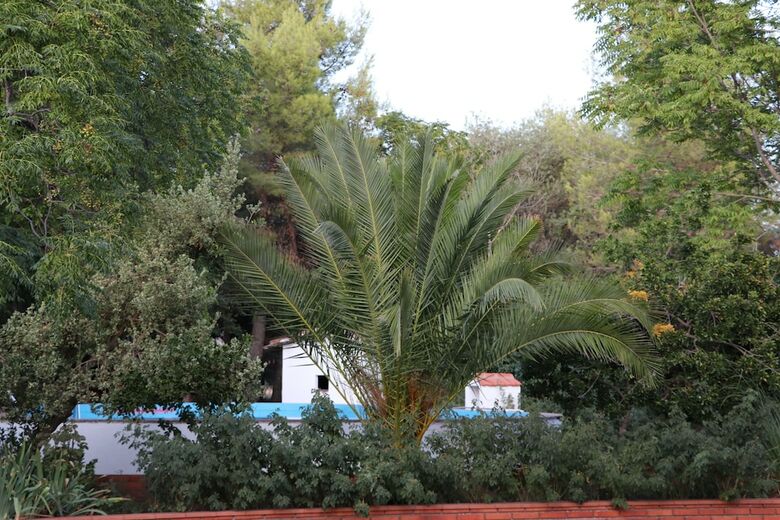 Agroturismo La Finka