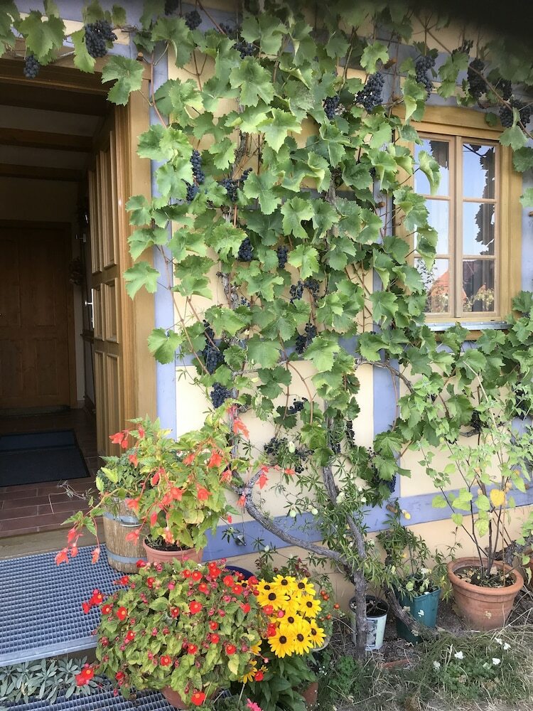 Hotel In Der Alten Weinstube