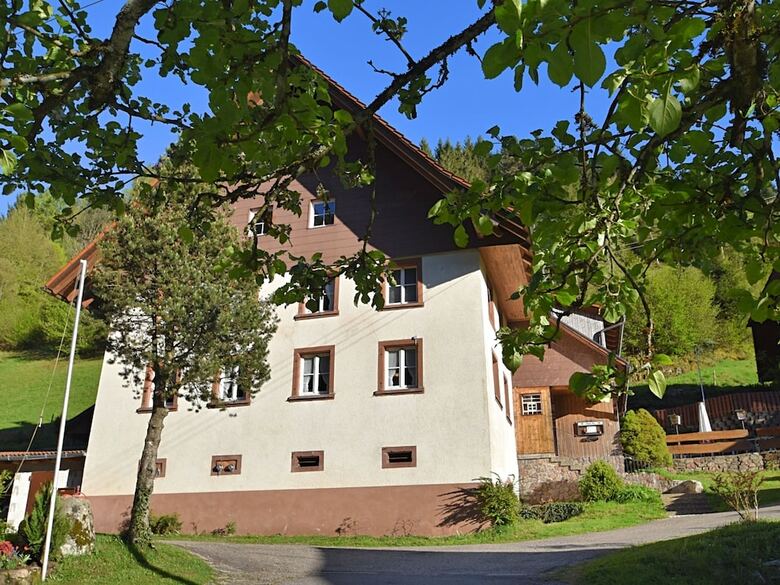 Great Holiday For Groups Or Multiple Families On A Beautiful Black Forest Farm