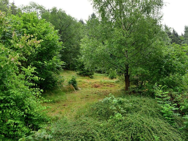 Spacious Apartment In Rattlar Near Forest