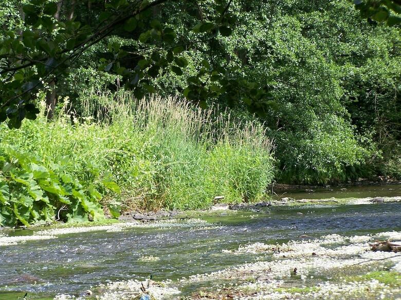 Well Kept Gite, Short Distance From The River And Forest