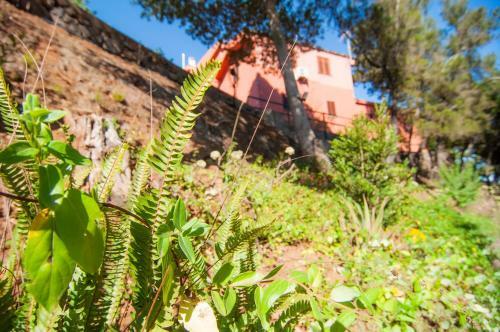 Agroturismo Finca El Pastel