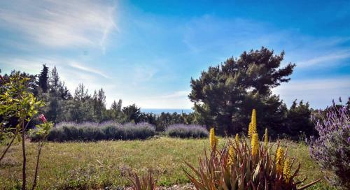 Drolma Ling Camping Rhodes