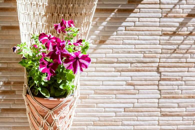 Apartamentos Ariadne Beautiful Studio