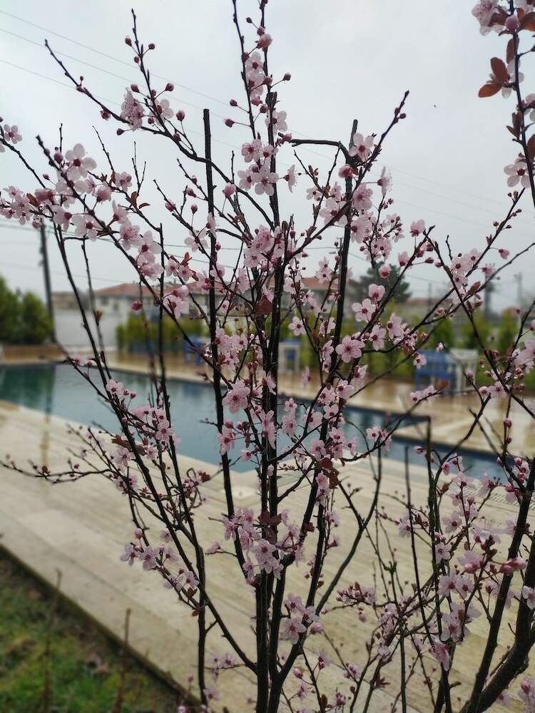 Hotel Zephyros Butik Otel ?ile