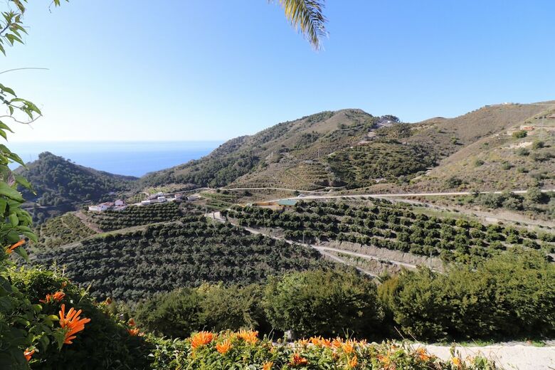 1149 Villa Paquita