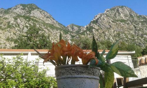 Hostal Villa Rustica