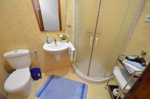 Apartments Vojin