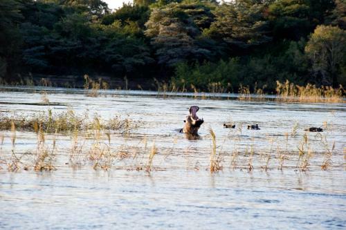 Protea Hotel Zambezi River