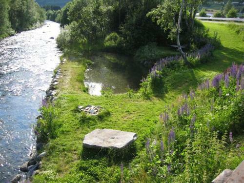 Lodge R�ldal Hyttegrend & Camping