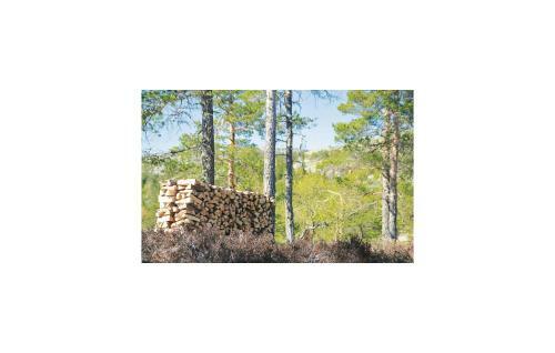 Holiday Home �mli Hillestadheia