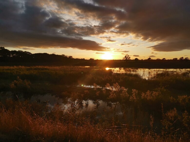 Bed & Breakfast Exelby Green Dragon