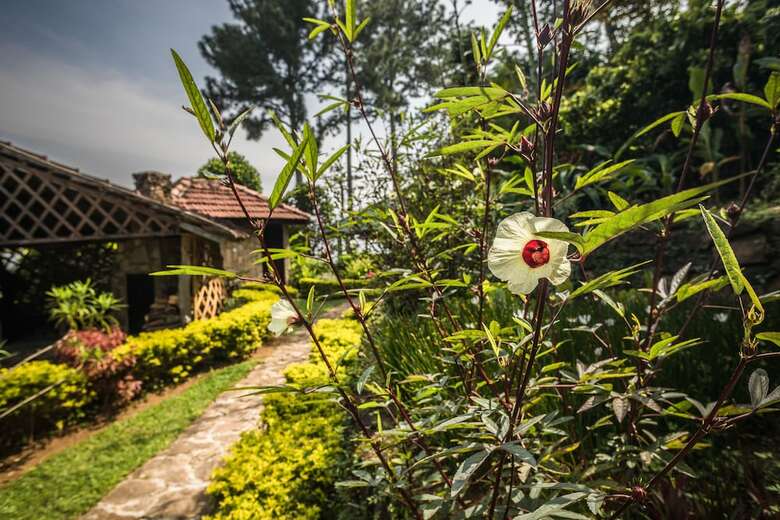 Galavilla Boutique Hotel & Spa
