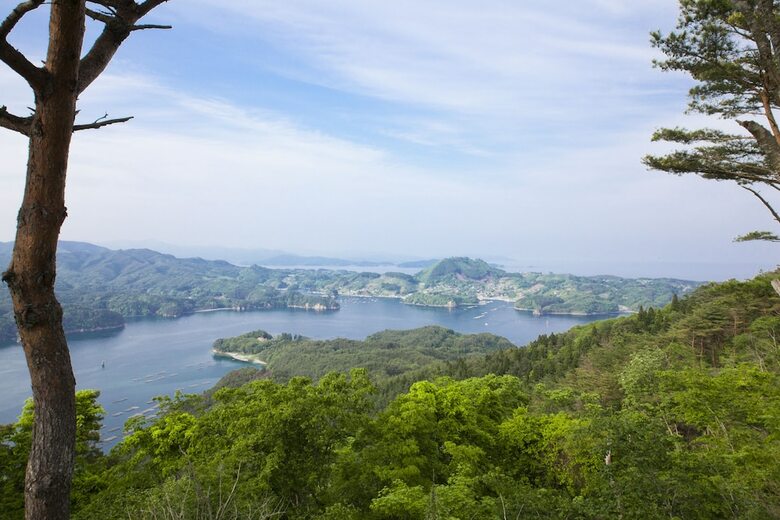 Hotel Kyukamura Kesennuma-ohshima