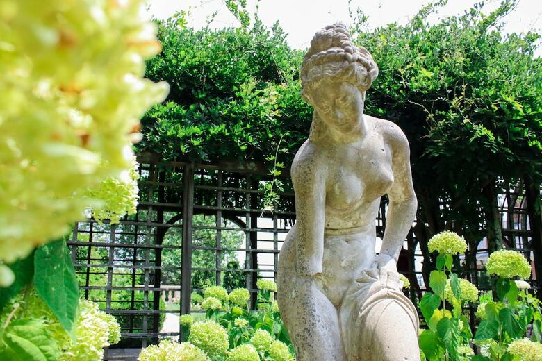 Hotel Albemarle Estate At Trump Winery