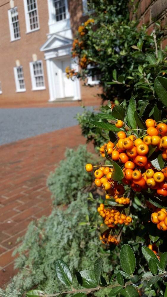 Hotel Albemarle Estate At Trump Winery