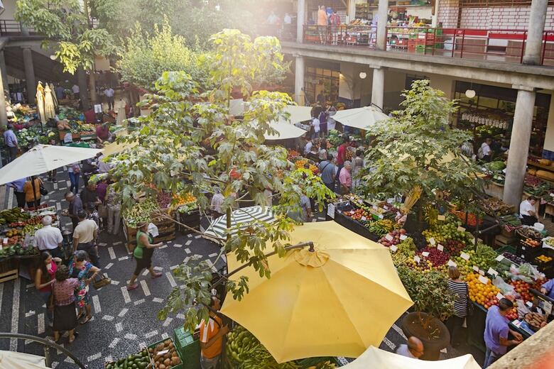 Amparo I By An Island Apart