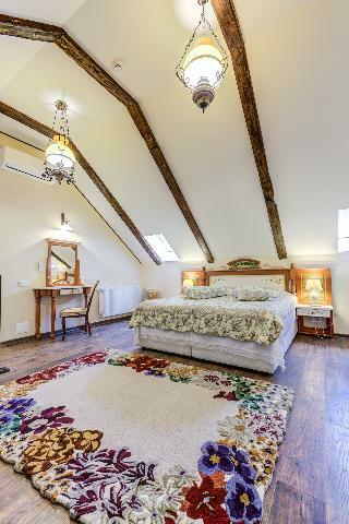 Hotel Conacul Ambient Cristian