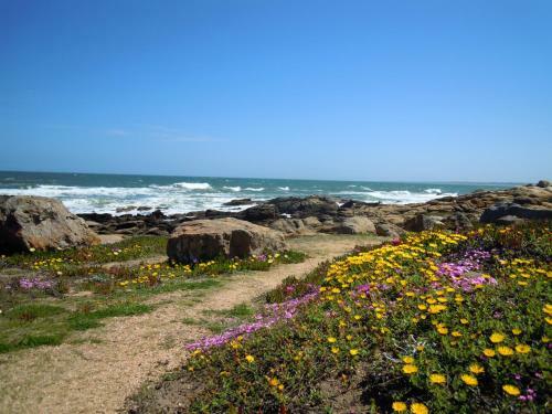 Bed & Breakfast La Atrevida