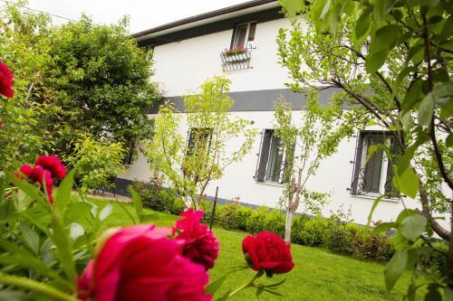 Apartamento Yuzhniy Dvorik