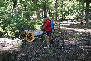 Lodge Huemules Reserva de Monta�a