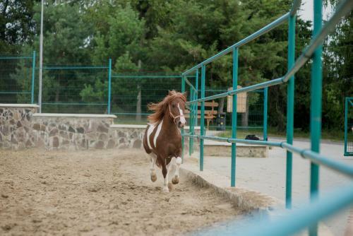 Zolota Gora Hotel-rancho