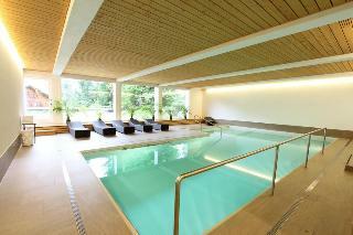 Hotel H�tel Des Alpes