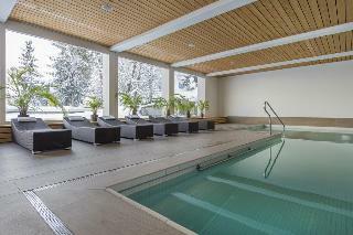 Hotel H�tel Des Alpes