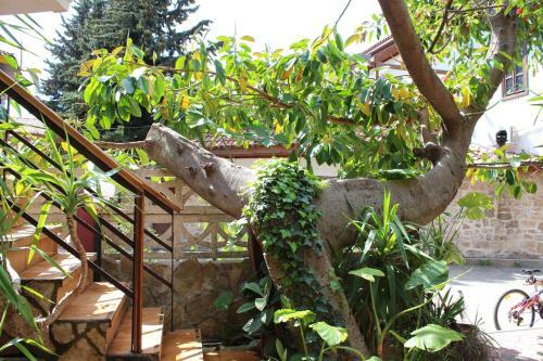 Hotel Lazer Pension